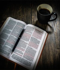 Plan de Lectura